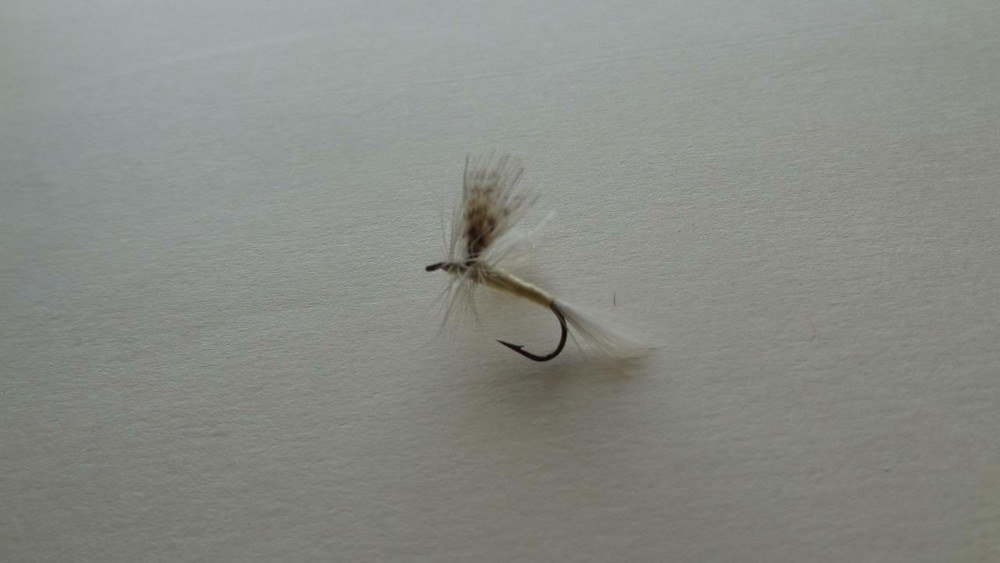 1 DOZ DF-5 LIGHT CAHILL (SELECT YOUR SIZE) DRY FLY