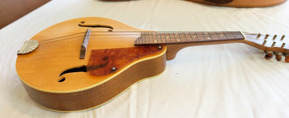 Vintage Silvertone Mandolin - Minor Defect - Sounds Decent