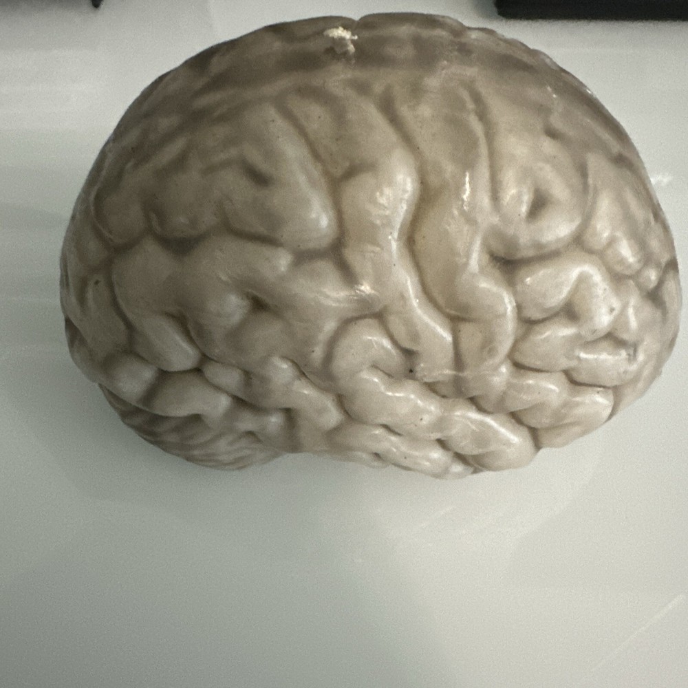 Melting Brain Novelty Candle