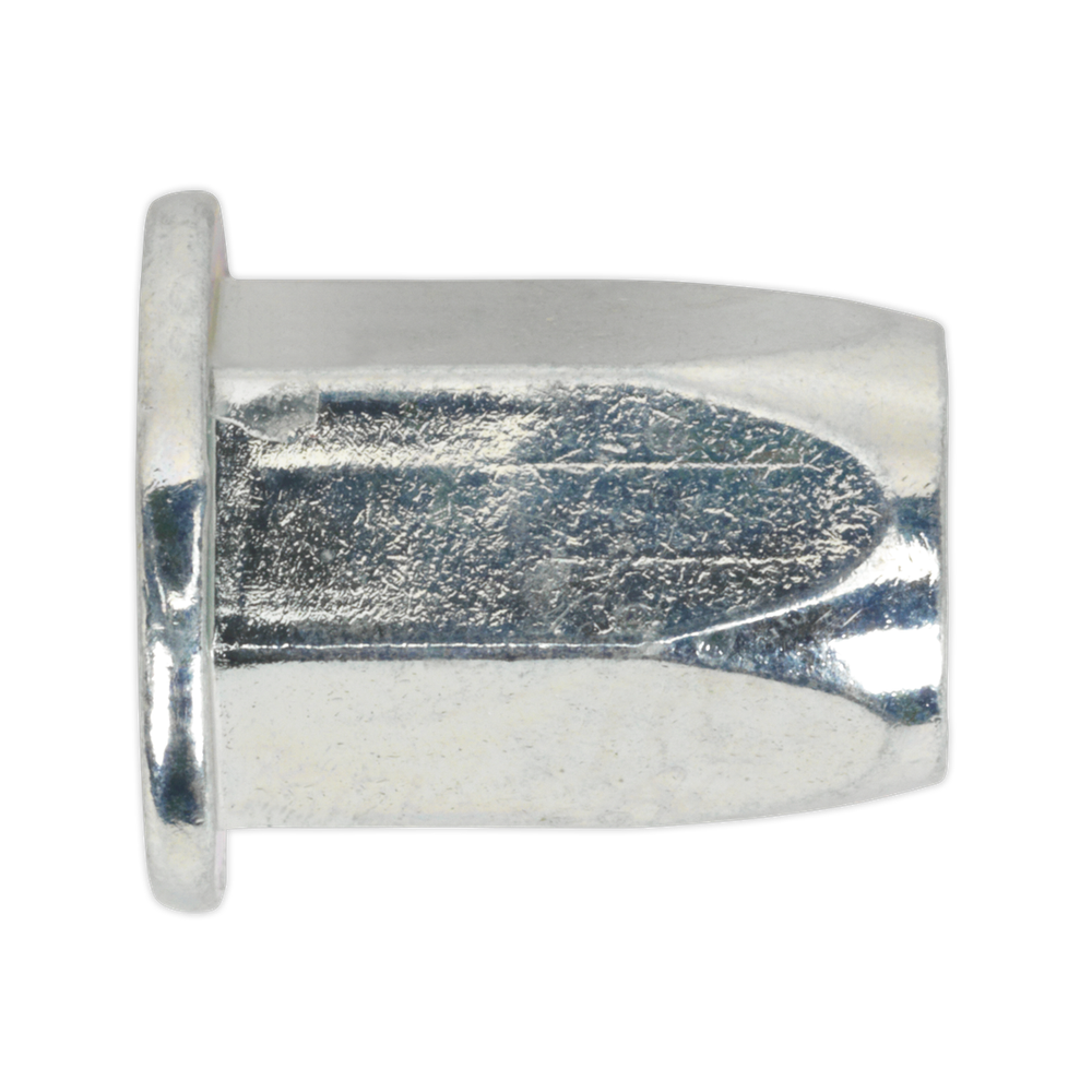 100 x Sealey Threaded Insert (Rivet Nut) M5 Full Hex Standard Flange