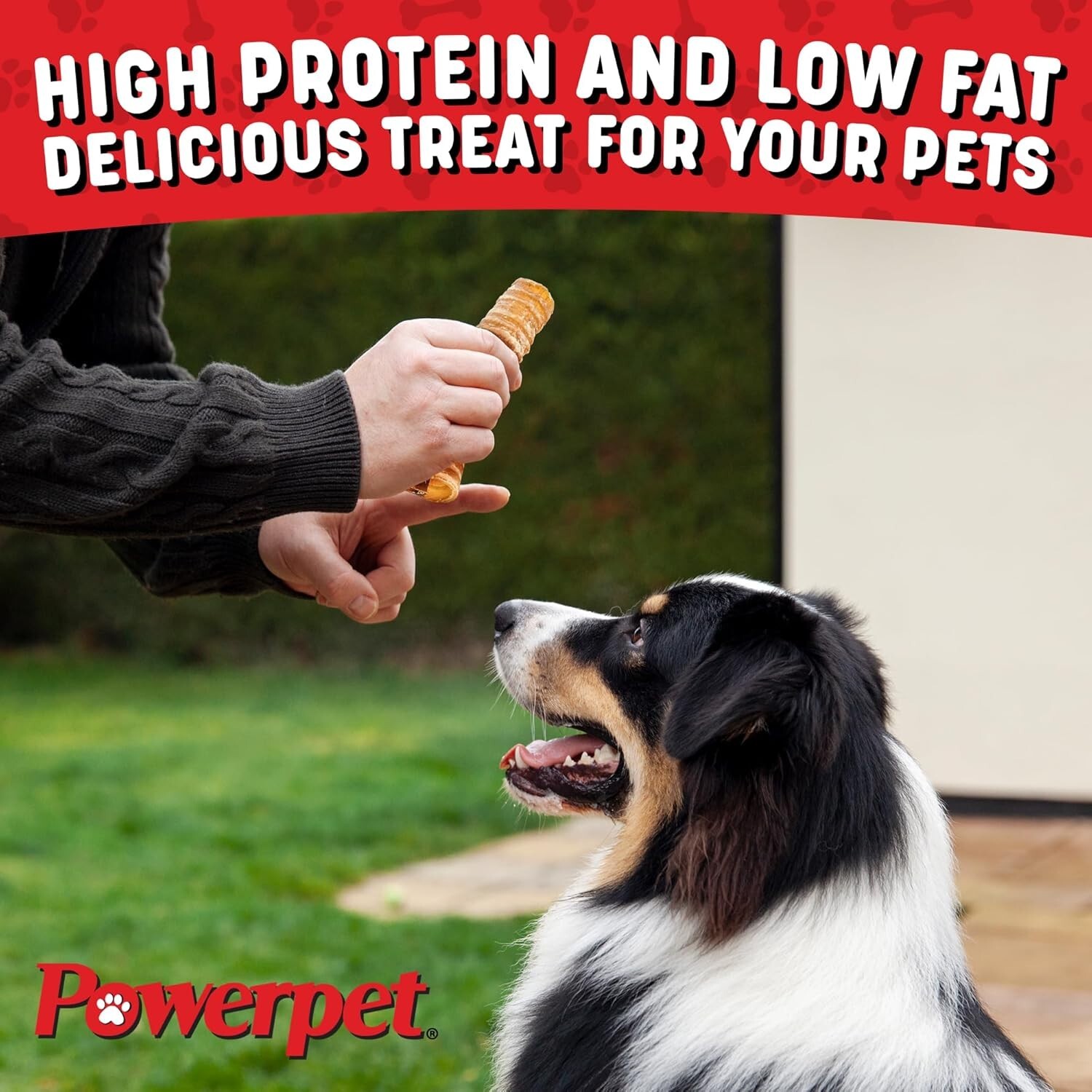 6 INCH Beef Trachea- BULK- Natural Dog Chew-100% BRC CERTIFIED