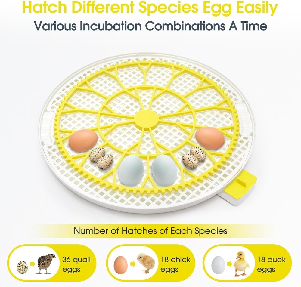 18 Egg Poultry Incubator for Hatching Chick Automatic Turning Stop Egg Incubator