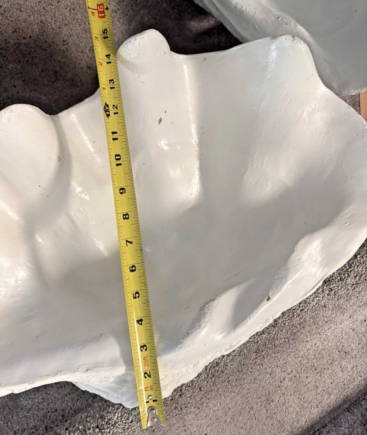 Giant man made clam shell 21.5" x 14" Great Party Decoration