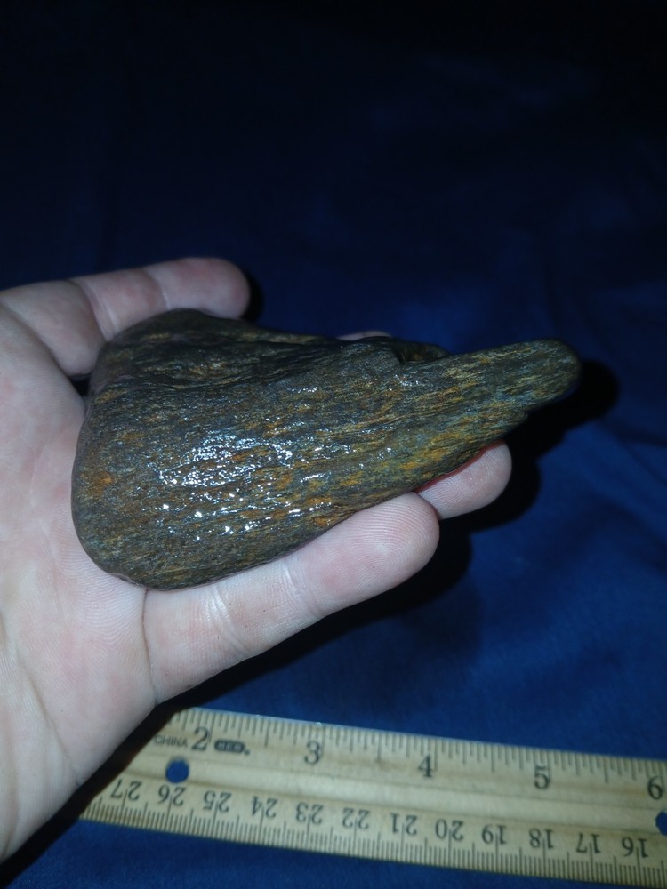 5. oz Texas Petrified Wood