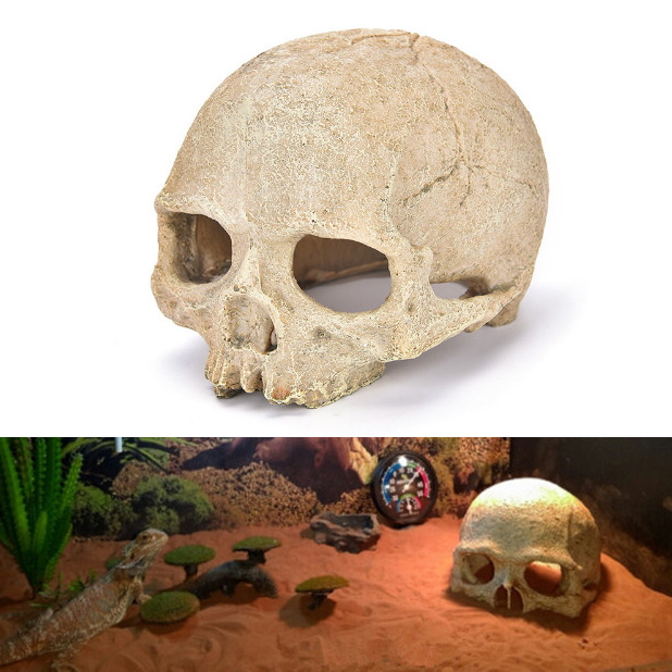 Aquarium Landscaping spider lizard snake python skull breeding house shelter