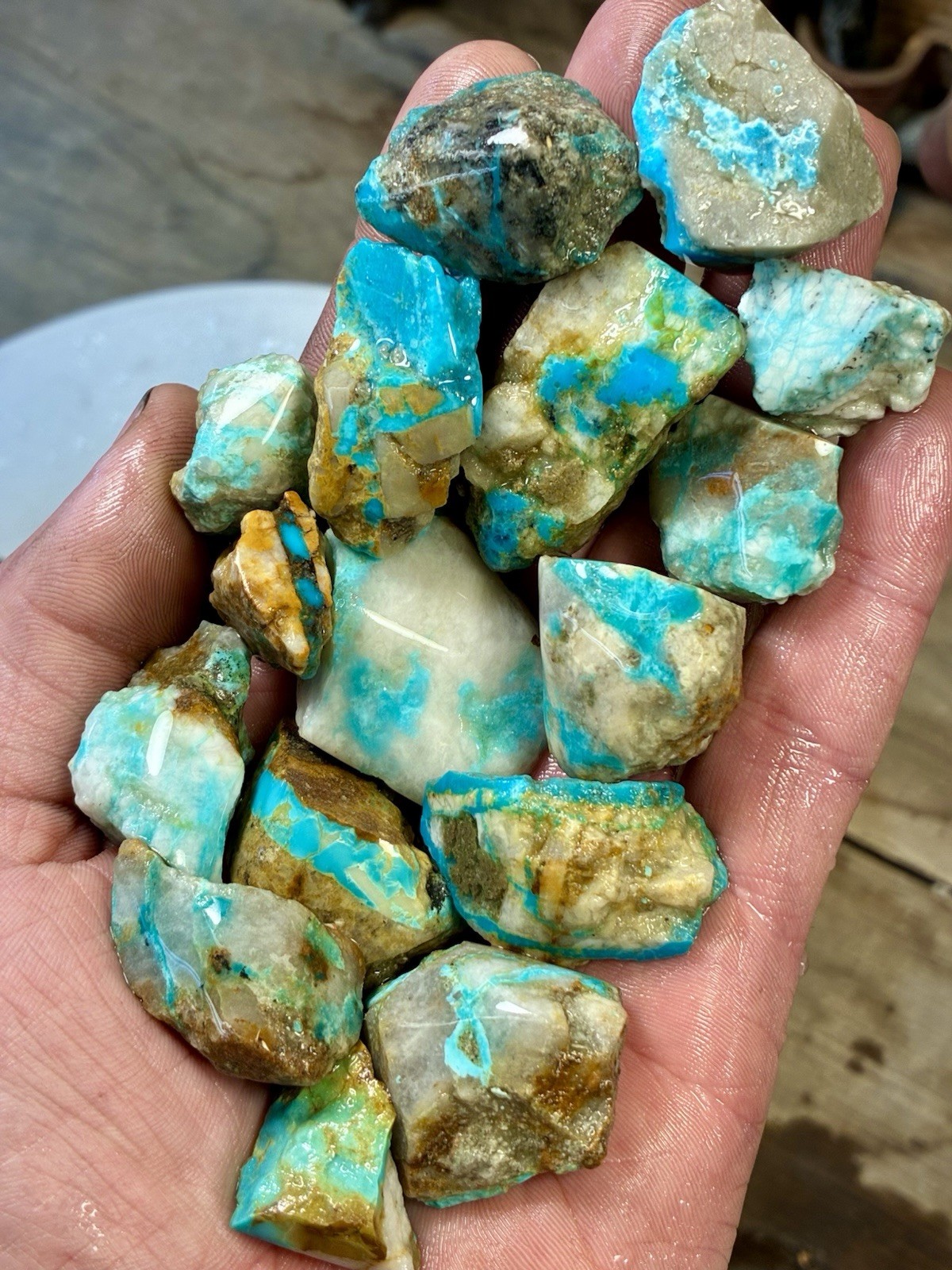 1 Lb of Skinny Turquoise Mountain Nugs! Now Available Again! ￼