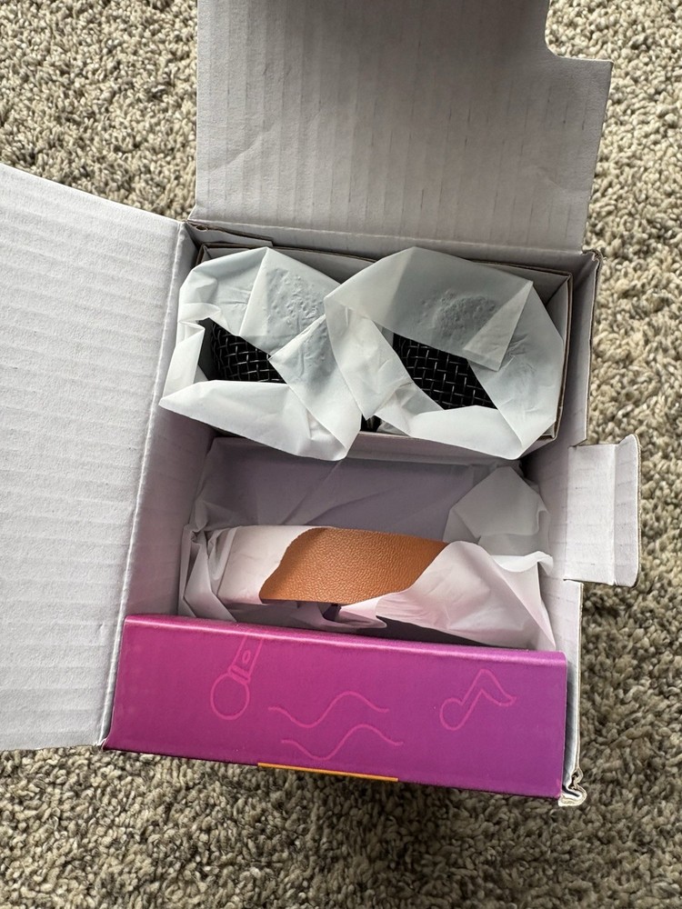 Mini Karaoke Machine with Two Wireless Microphones & Bluetooth Speaker