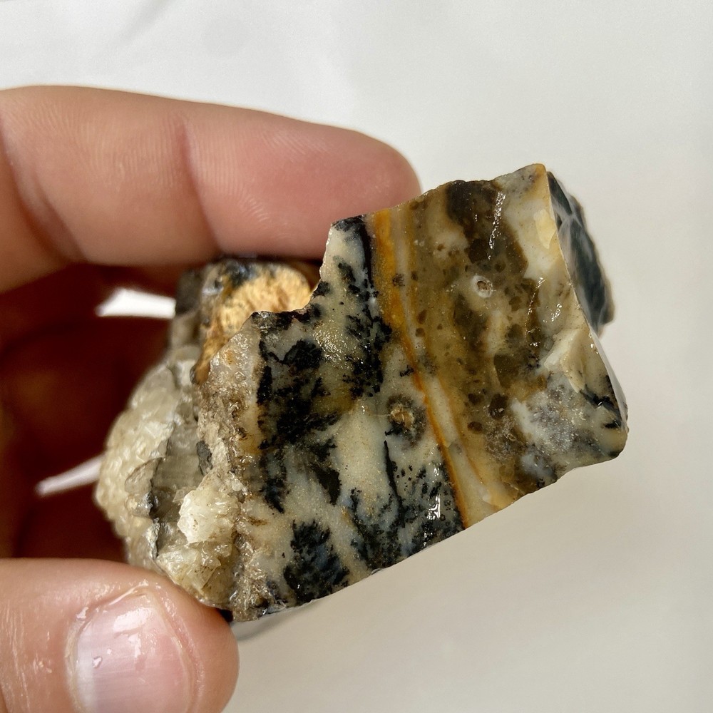 Natural Dendritic Opal Stunning Rough Stone 7.67 Oz!