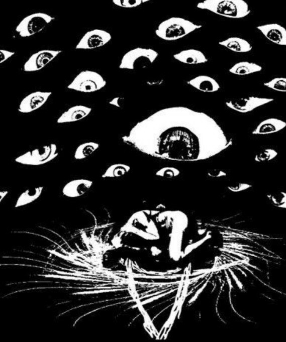 Full Paranoid Mind Tarot Reading