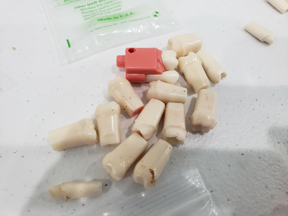 Modupro Replacement Modules - Endo Extracted Tooth Substitute- Acadental 67 pcs