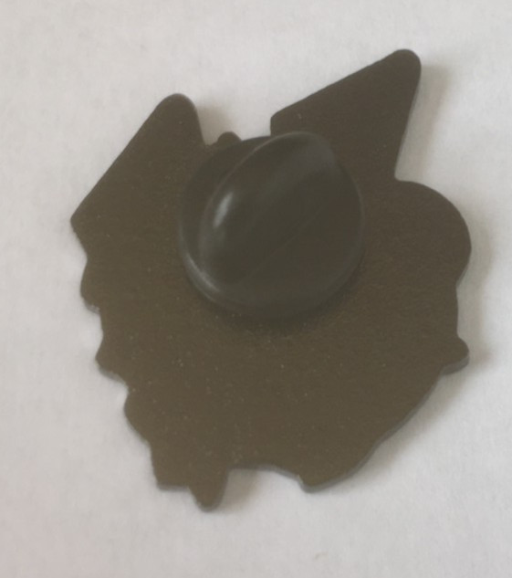 USA pin badge #2