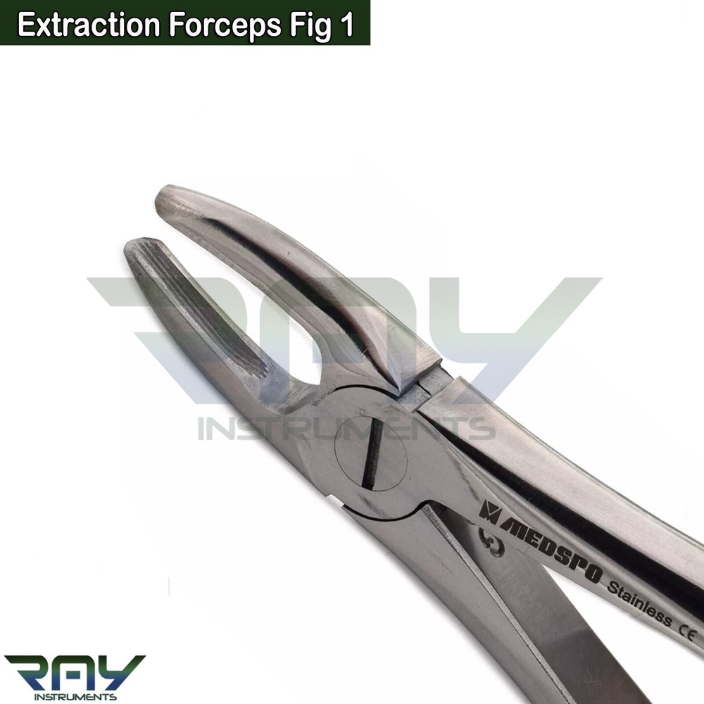 Dental Tooth Extraction Forceps Fig 1 Upper Root Incisors Surgical Instruments