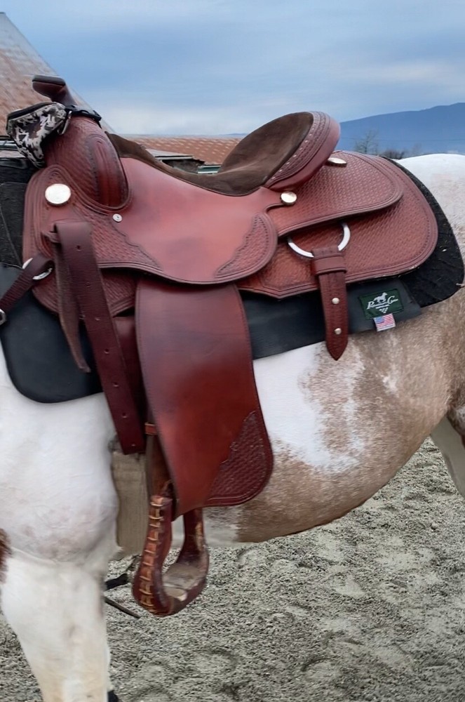 Experience Leather reining saddle