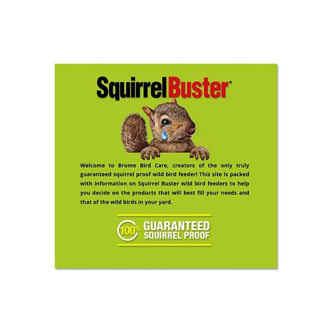 Brome Squirrel Buster Plus Squirrel Proof Bird Feeder w/ Cardinal Ring 1024