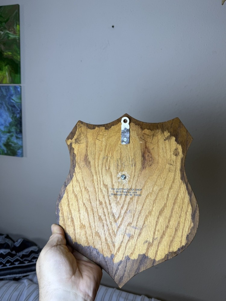 Turtle Shell in real wood plaque