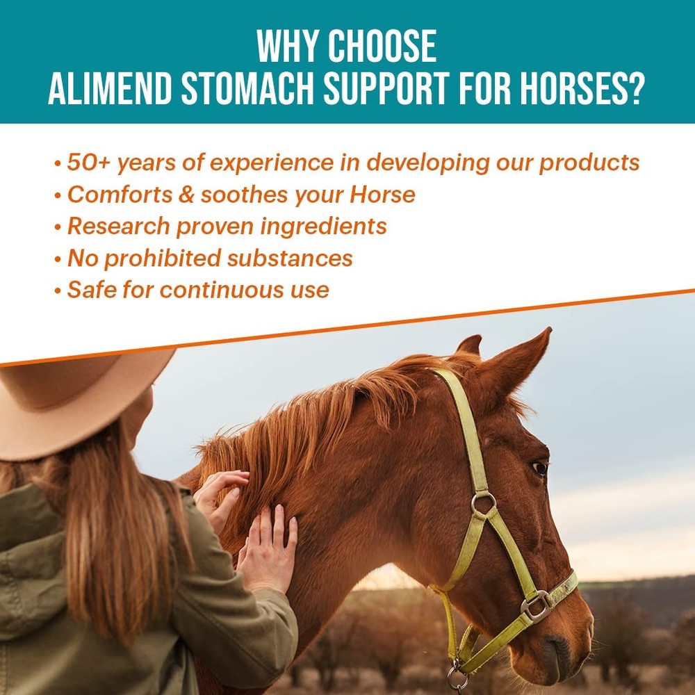 Equine Gastric Support for Horses | Ulcer Relief Solution - 64 Servings