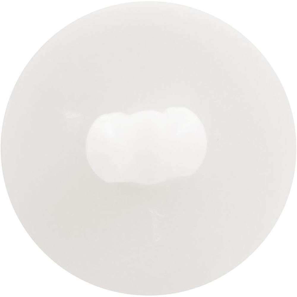 Retainer Clip, Hayward Next Gen, White
