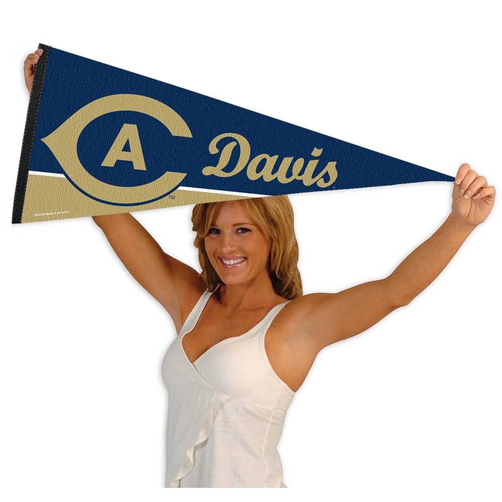 Cal Davis 12x30 Felt Pennant