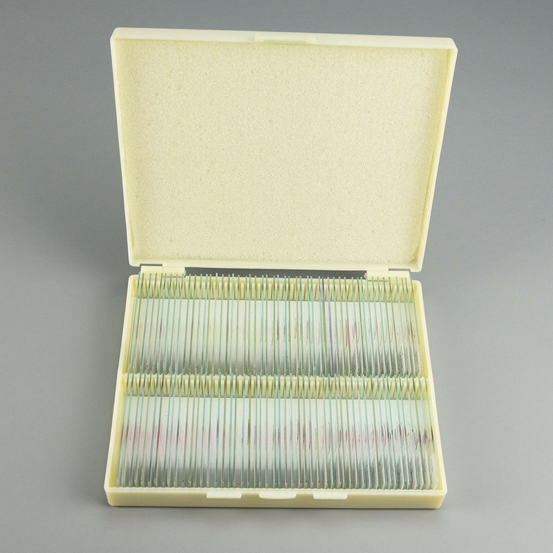 100PCS Mammal Tissue Sections Slides Prepared Specimen for Microscope Slides