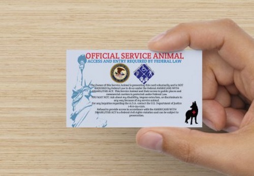 Service Dog - Support Dog - Therapy Dog Harness K9 Pocket Vest ALL ACCESS CANINE