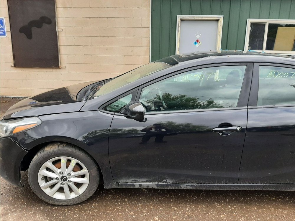 FORTE 2017 High Mounted Stop Light 1001617