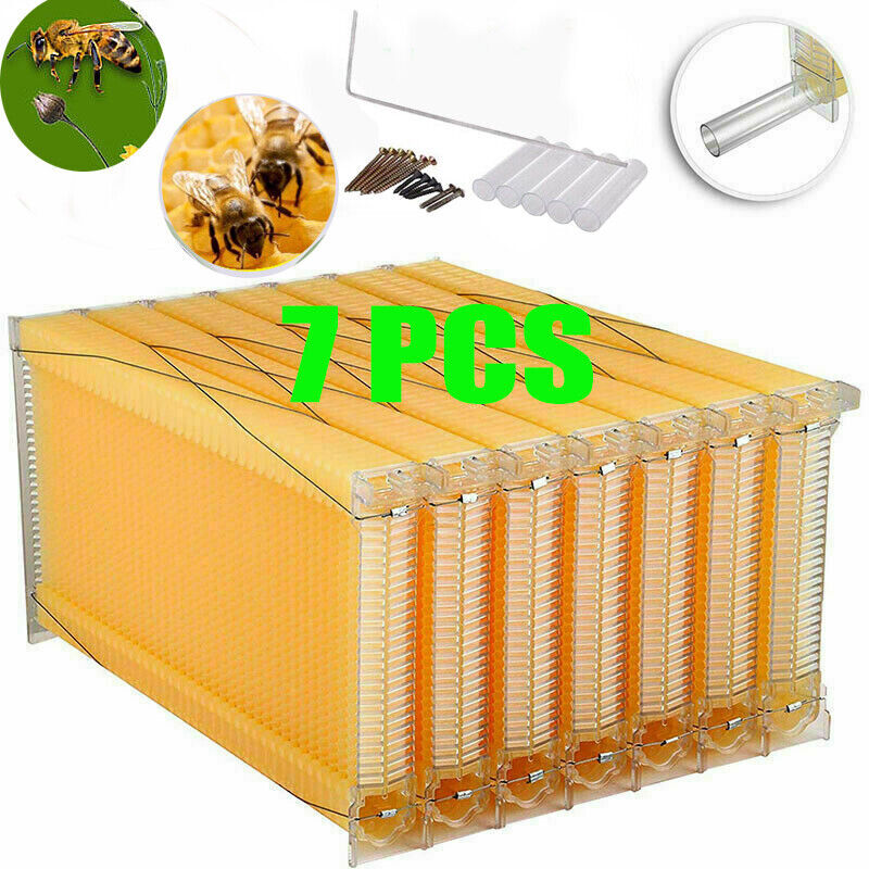 7 PCS Auto Shedding Beehives Frames Bee Frames for Brood Beekeeping Boxes House
