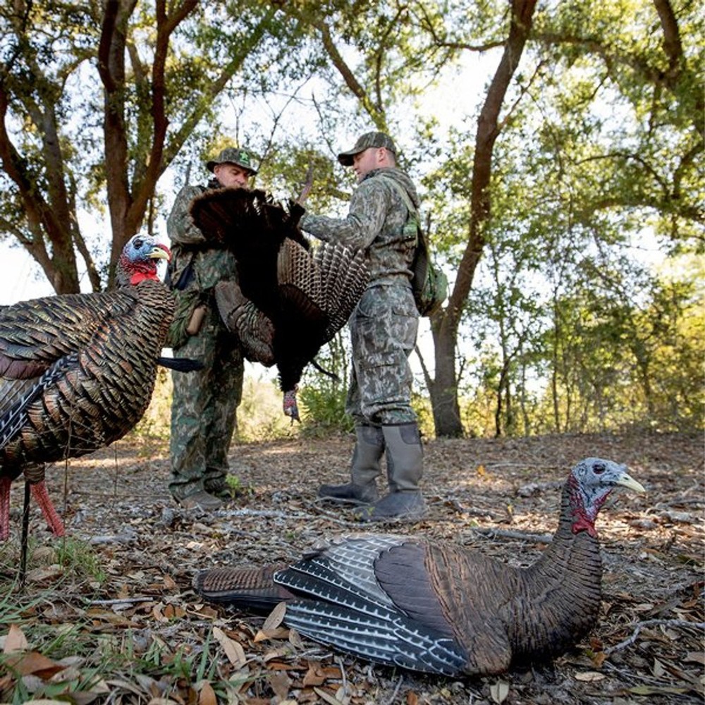 Avian X Lifelike Collapsible Decoy Laydown, Hen Decoy