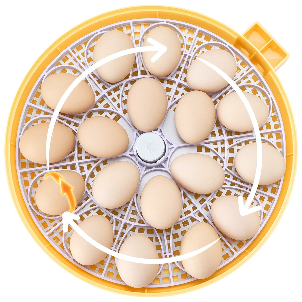 Auto Egg Incubator with Turner, Candler & Climate Control