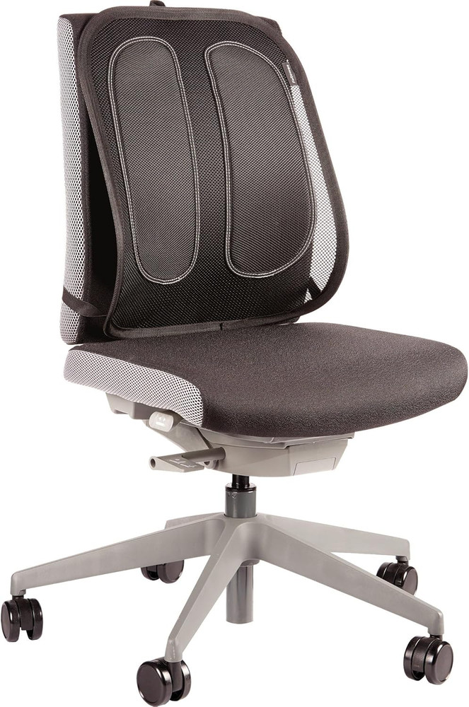 Office Suites Back Support, Graphite (9191301)