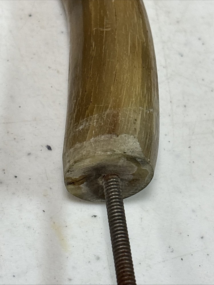 Animal Horn Cap Wall Hooks