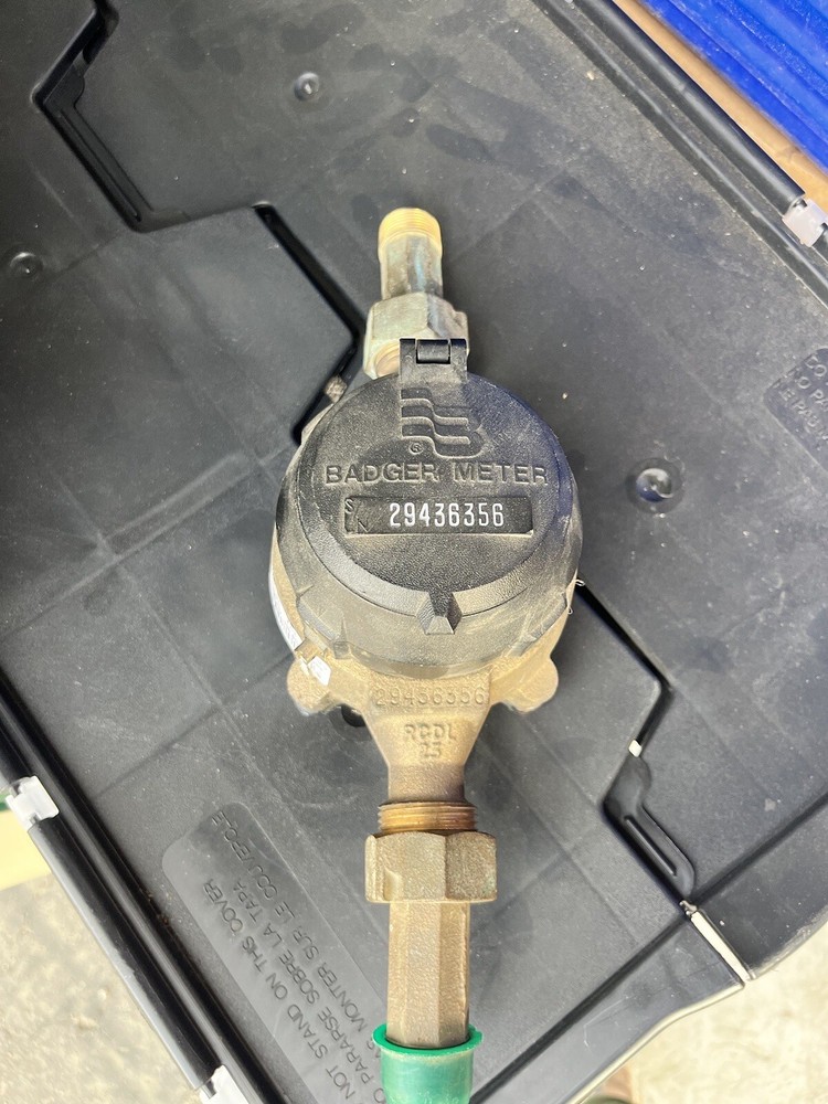 Badger Meter RCDL25 Nutating Disc Flow Meter