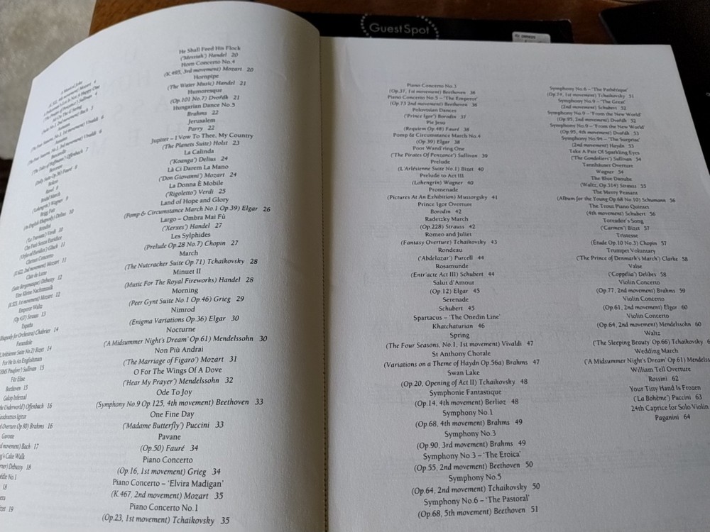 Flute. 100 Classical Themes