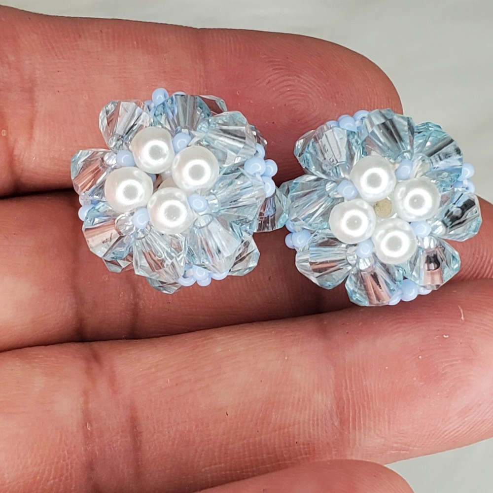 Multi Colored Beaded Earrings Drop