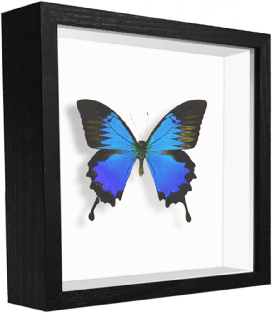 5X5 Small Shadow Box Frame Display Case , Display Case Box for Memorabilia, Meda