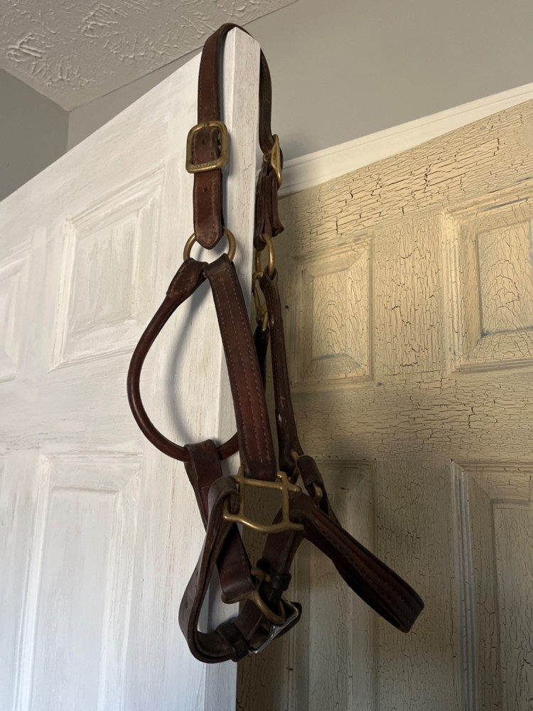 New Dover Equine bridal
