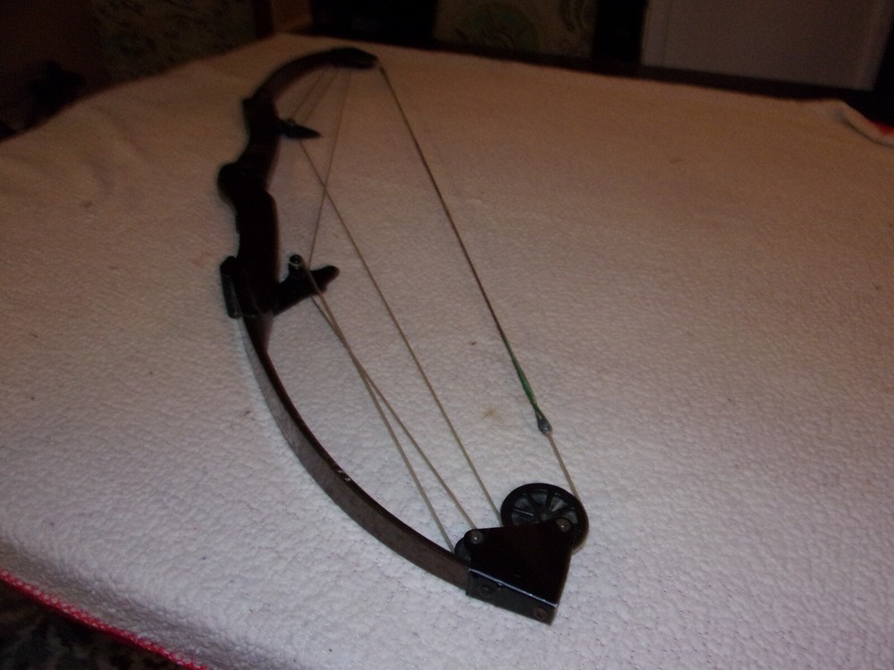 Bear Archery Whitetail Hunter Compound Bow