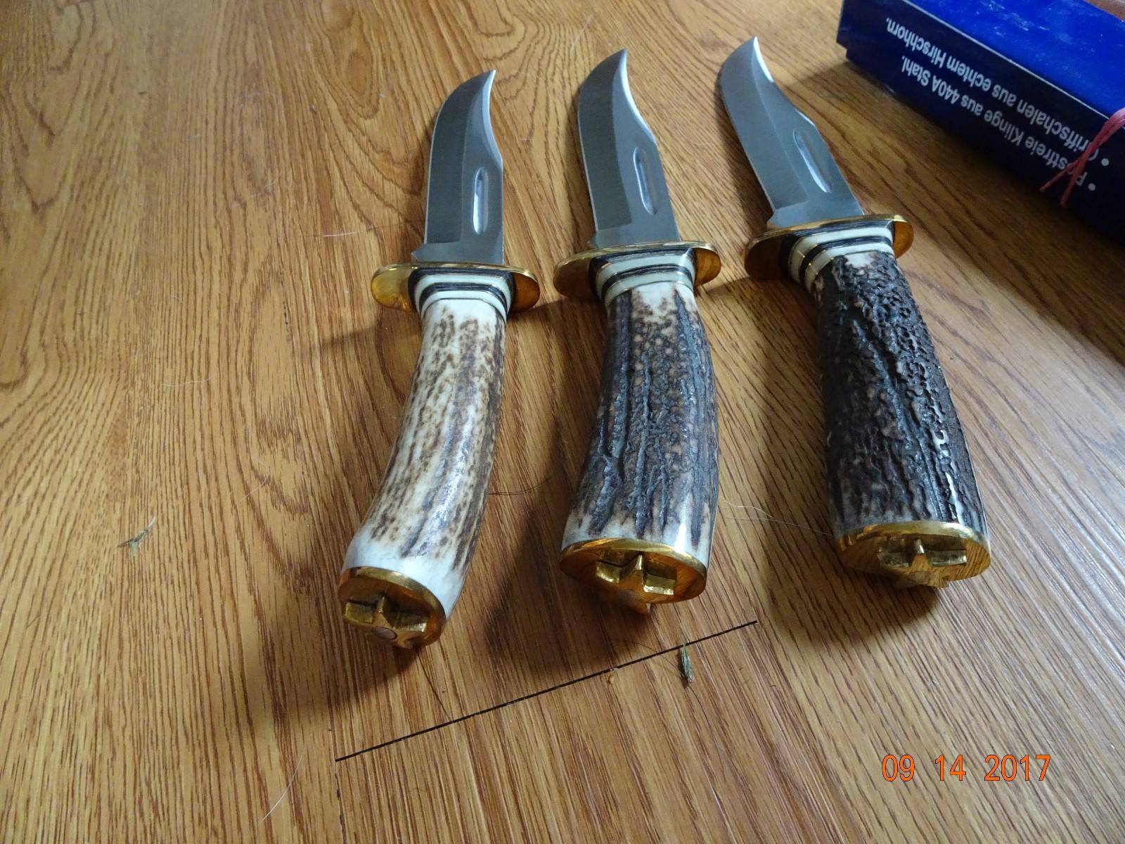 STEEL STAG 10 1/2' FIXED BLADE KNIFE ELK ANTLER HANDLE 440S.S. BLADE LEATHER SHE