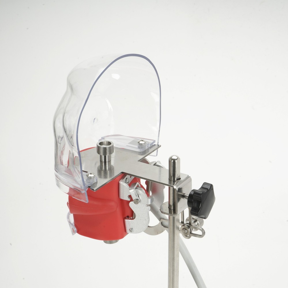 Dental Phantom Head w/ 32 Typodont Teeth Model Typodont Mount Fixed on Table