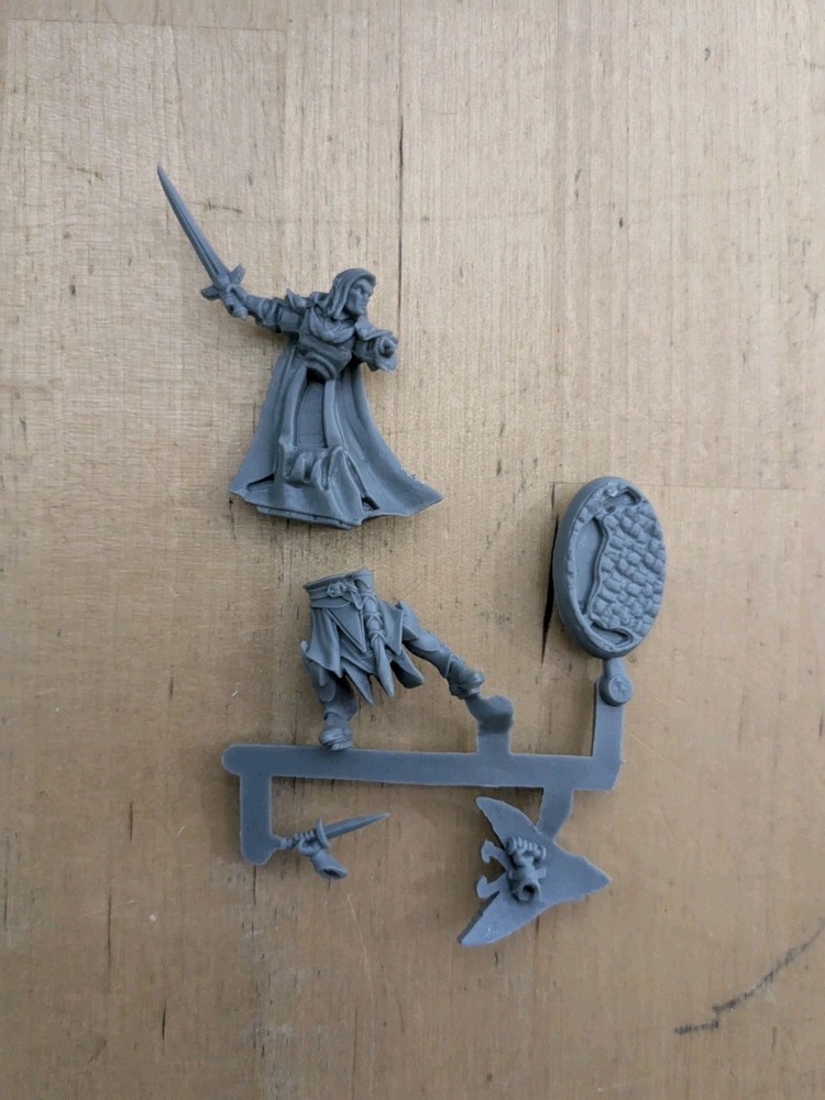 Reaper Bones 5 Swordsman
