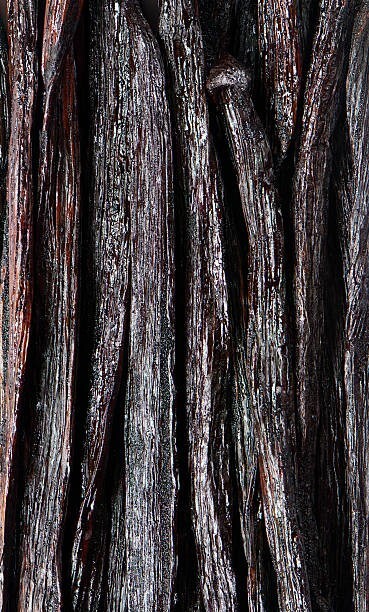 madagascar vanilla beans grade A 1 kg