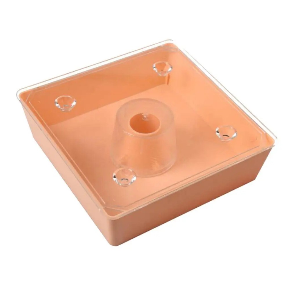 Beehive Bee Feeder Beekeeper Tool Easy to Use
