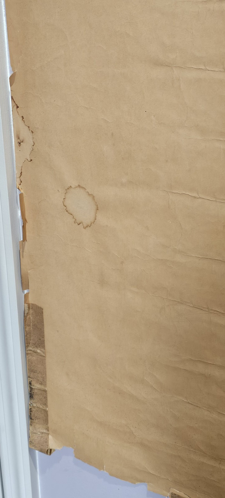 Vintage Janis Joplin Black & White Poster Altered Hand Painted Blacklight Paint