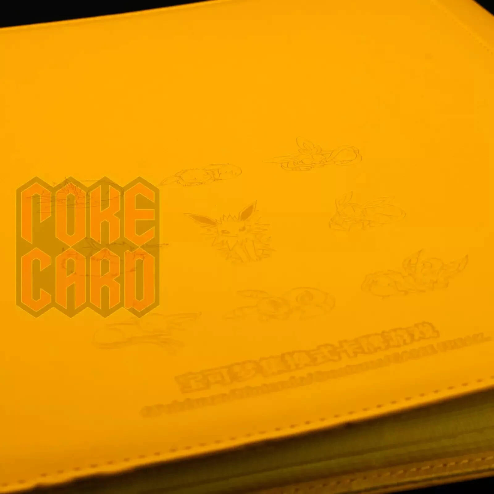Pokemon S-Chinese Sealed Gift Box Jolteon Eevee GX theme 480 slots Card Binder