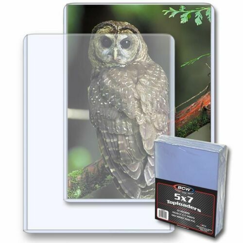 25 BCW 5x7 Photo Print Document Toploader Holder Plastic Rigid Case Standard