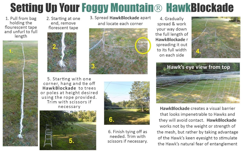 Foggy Mountain Hawk Blockade