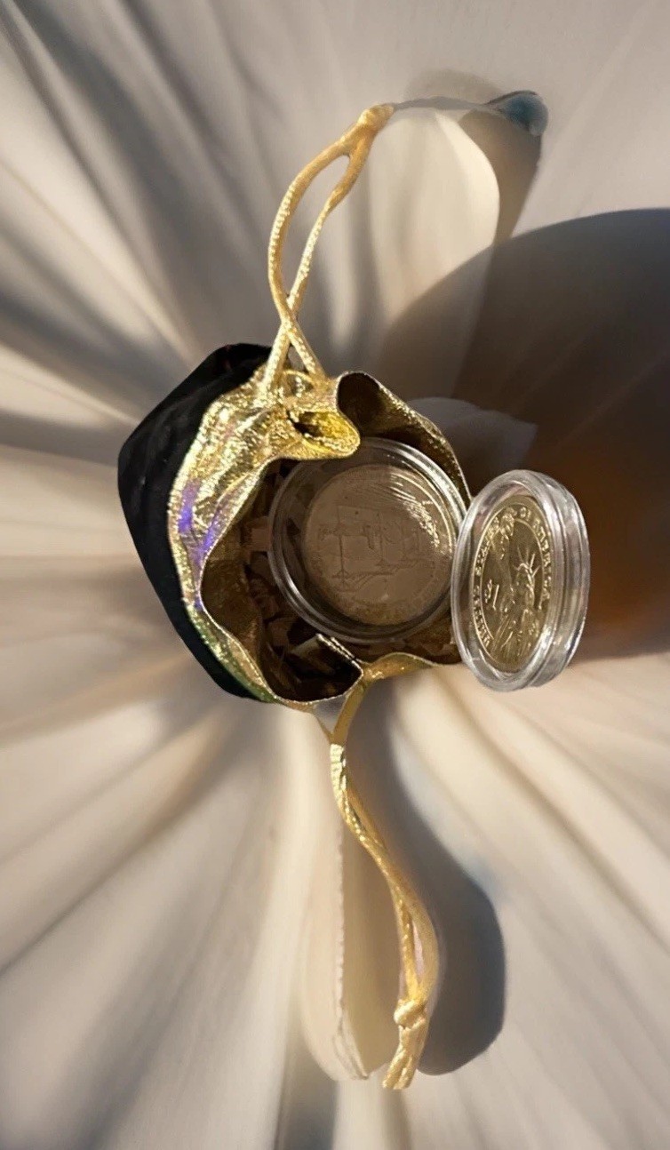 Premium Coin Mystery Bag- Ike Dollar, Half Dollar & Golden $1 + Real Bonus Coins