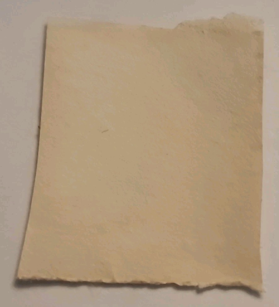 2 Vintage 6 Cent Franklin D. Roosevelt Postage Stamp USED 1966 1967