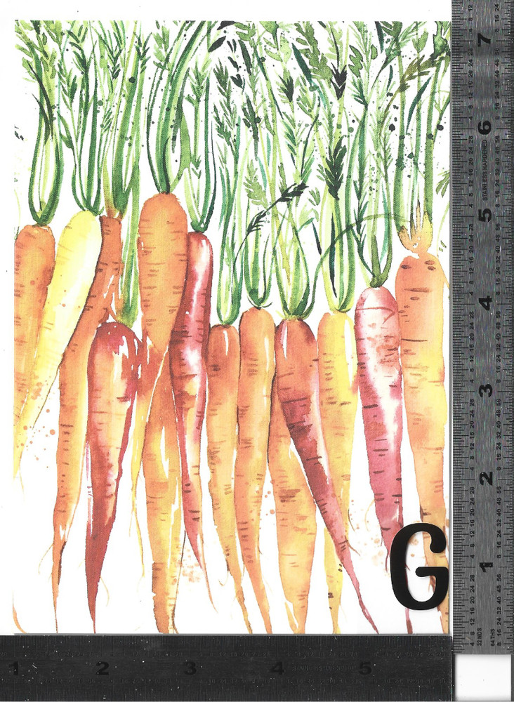 ( P  ) 1 blank   premium   Card with   Envelope