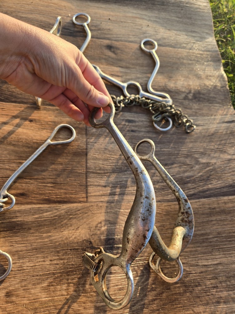 4 Horse Bits