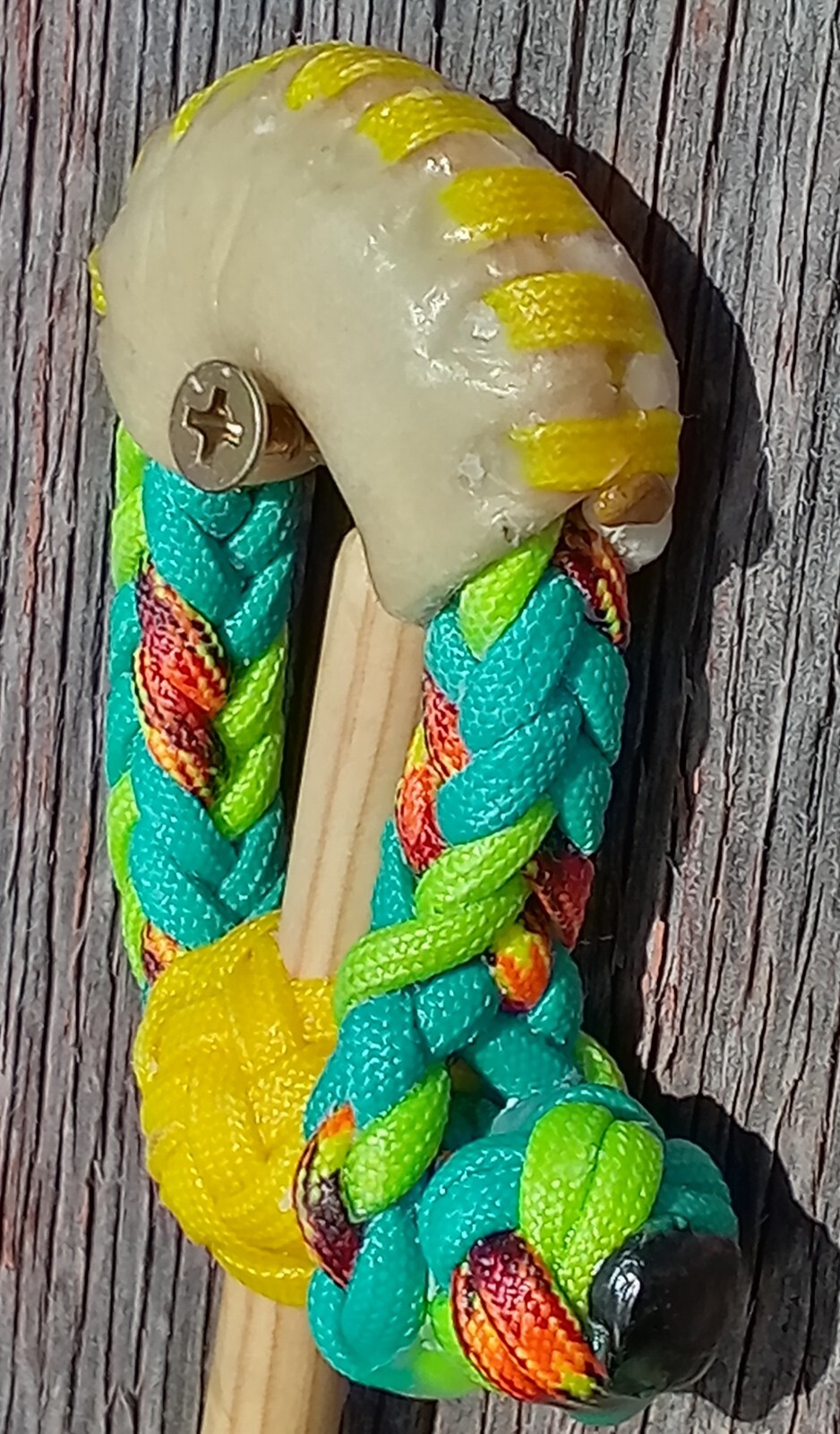 TURQUOISE n BLACK 10 Plait Pryor ParaCord Hondo w/ Bull Rawhide Burner Buckaroo